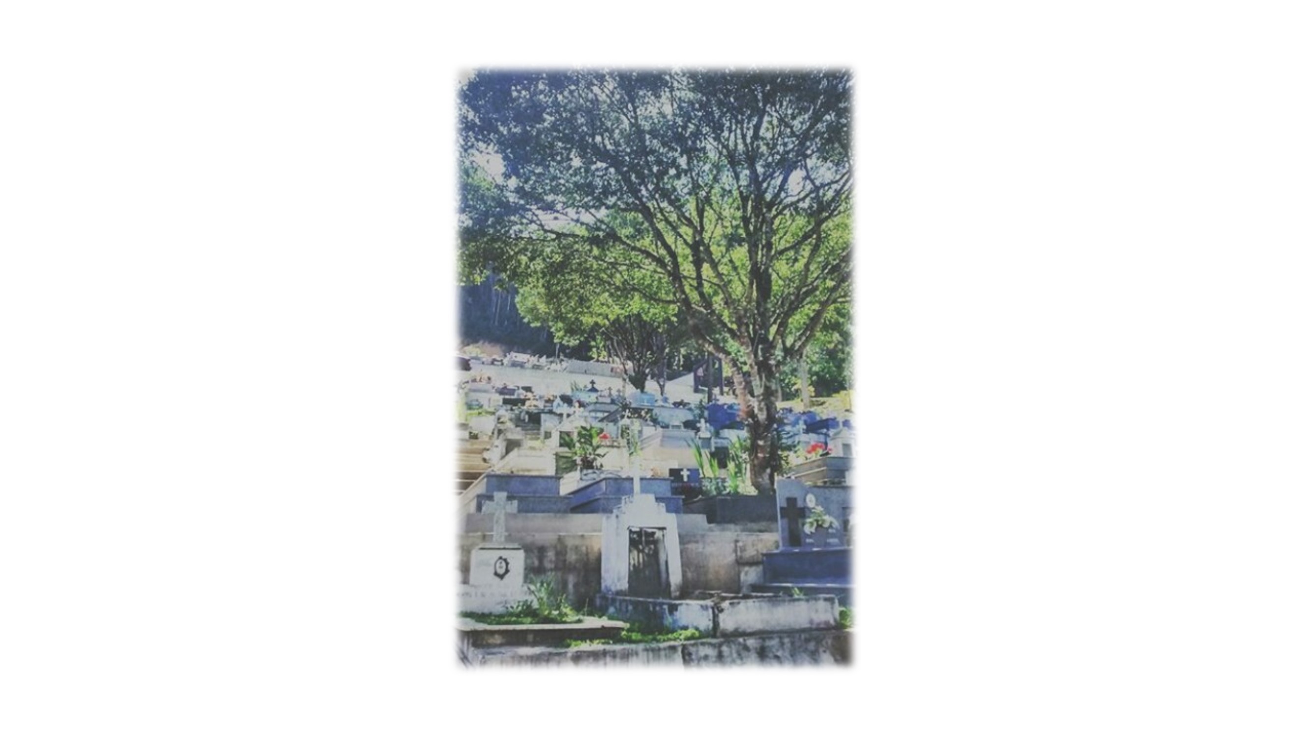 cemiterio